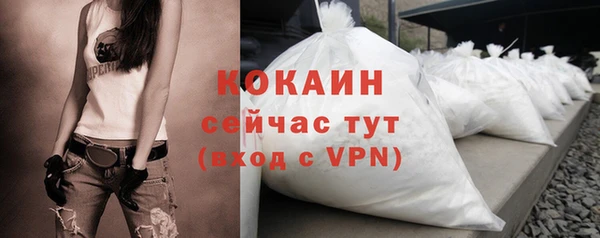 индика Бугульма