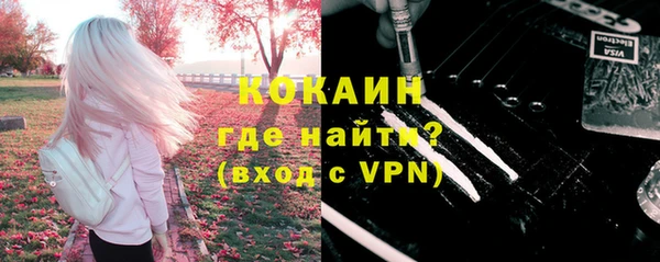 индика Бугульма