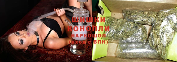 соль ск Няндома