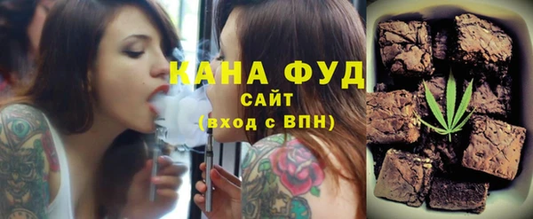 индика Бугульма