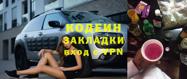 индика Бугульма