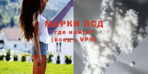 индика Бугульма