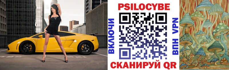 Галлюциногенные грибы Psilocybine cubensis  Муравленко 